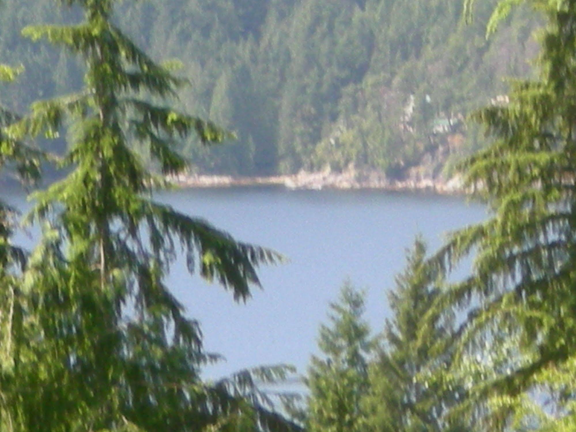 Davis Brook Retreat Acomodação com café da manhã Sechelt Exterior foto