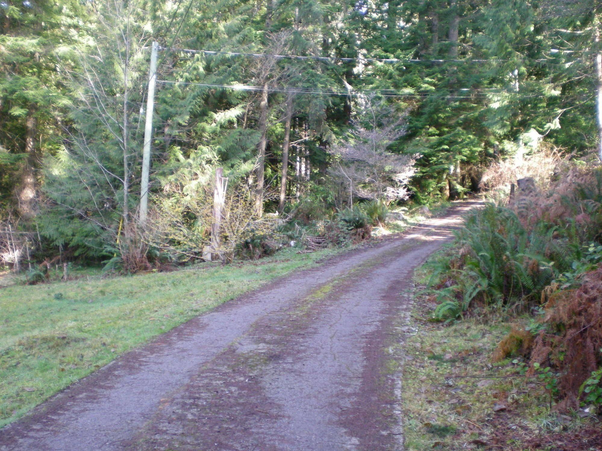 Davis Brook Retreat Acomodação com café da manhã Sechelt Exterior foto
